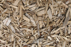biomass boilers Cranloch