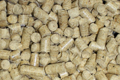 Cranloch biomass boiler costs